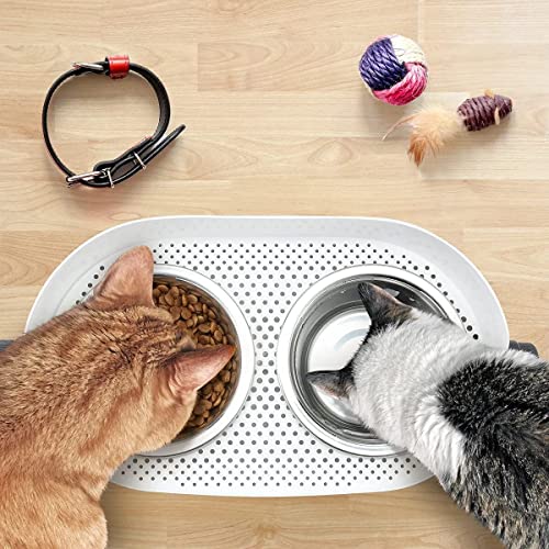All for Paws Height Adjustable Cat Elevated Bowls Stainless Steel Dog Food Water Bowls, Height Adjustable Cat Feeder Mess Proof Pet Feeding Bowls for Small to Large Size Cats - size: Medium