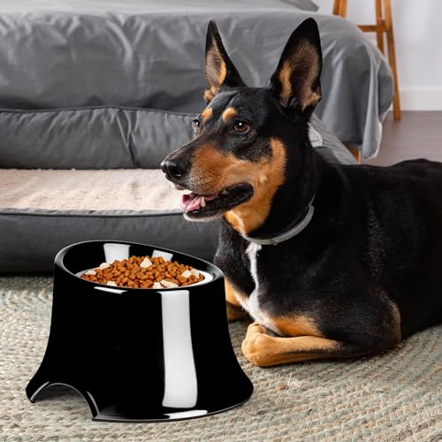 Tilted Elevated Dog Bowls Non-Slip & Non-Spill Pet Feeder with Elevated Detachable Melamine Stand, High Capacity Tilted Dog Bowl for Medium Small Size Dogs M/2 Cup Black - color: Black, size: M/2 Cup