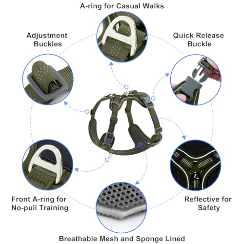 Plutus Pet No Pull Dog Harness, Release at Neck, Soft Padded, Reflective Adjustable Dog Vest Harness for Small, Medium, Large Dogs(Ranger Green, S) - color: Ranger Green, size: S