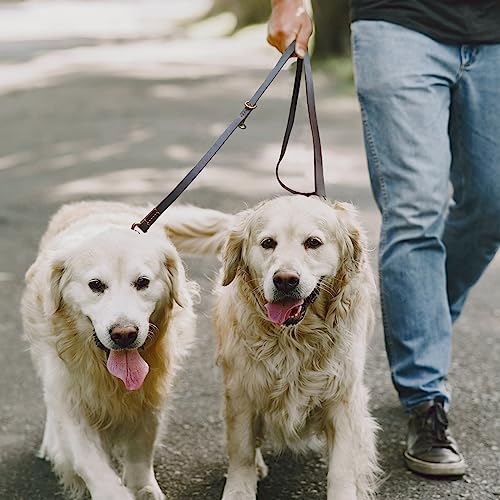 Hands Free Leather Dog Leash 8ft,Durable Genuine Leather Multi Function Dog Leashes,Strong Leash for Small Medium Large Breed Dogs