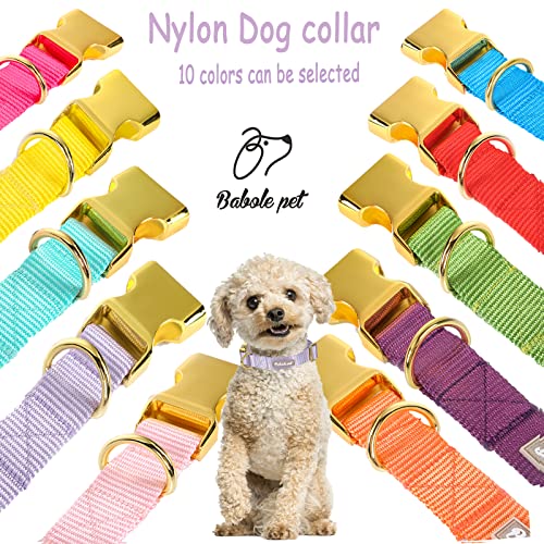 Nylon Dog Collar - Adjustable Lavender Soft Webbing Dog Collars for Small Medium Large Dogs Boy Girl Puppy Collar with Safety Metal Buckle XS - color: Nylon-Lavender, size: XS