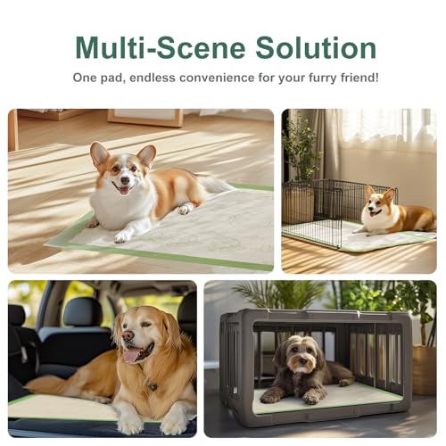 Dog Pee Pads with Adhesive Strips 50Count, 19"X30" Extra Large Disposable Pee Pads for Dogs, Non-Slip Puppy Training Pads for Crate/Cage/Carrier - size: 19" x 30" (50 Ct)
