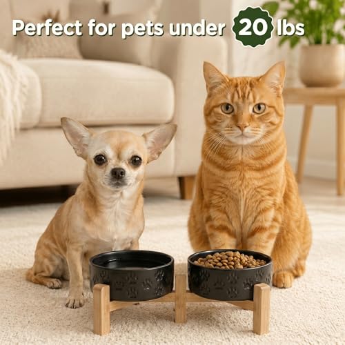 SPUNKYJUNKY Elevated Dog Bowls Ceramic, 5.1'' Dogs and Cat Food Water Bowls Raised with Non-Slip Bamboo Stand for Puppy Small Sized Breed Microwave Dishwasher Safe - 13.5 OZ,Paw Black - color: Paw Black, size: 5.1 in - 1.7 cups
