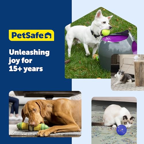 PetSafe Busy Buddy Bristle Bone, Large, Helps Keep Your Dog's Teeth Clean, Long-Lasting Playtime - size: Large, style: Bristle Bone