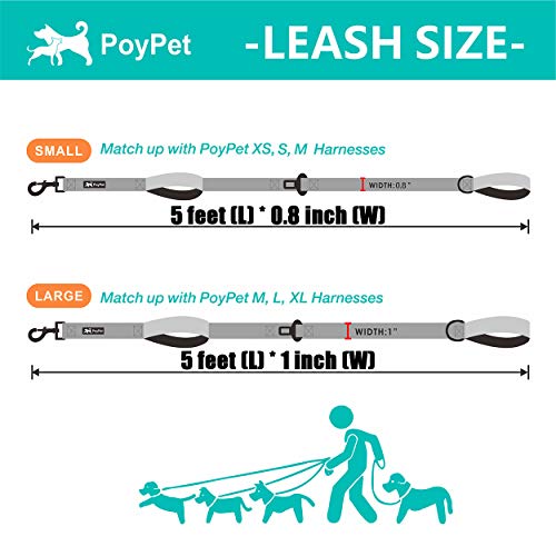 PoyPet 5 Feet Dog Leash - 2 Cushioned Handles - Functional Car Seat Belt (Grid, L) - color: Grid