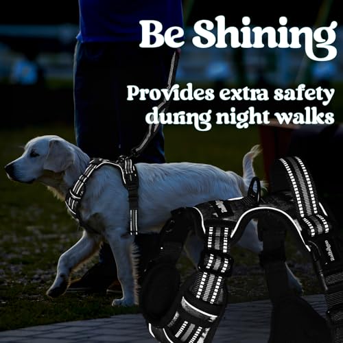 rabbitgoo Dog Harness Small Sized, No Pull Easy On & Off with 3 Buckles Pet Harness, Adjustable Soft Walking Vest with 2 Clips and Handle, Reflective for Small Dogs, Mountain Black, S - color: Mountain Black, size: Small