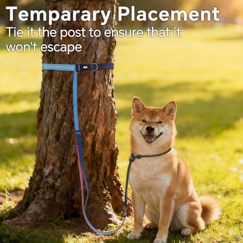 QQPETS Adjustable Slip Lead Dog Leash, Hands Free Waist Leash for Dog Walking, Reflective Training Lead with 360° Swivel Anti-Tangle, 4-7 ft Length for All Breeds - color: Sunset Gradient