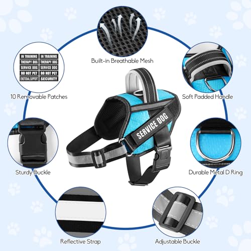 Service Dog Vest Harness and Leash Set, Animire in Training Dog Harness with 10 Dog Patches, Reflective Dog Leash with Soft Padded Handle for Small, Medium, Large, and Extra-Large Dogs - color: Light Blue, size: XXS