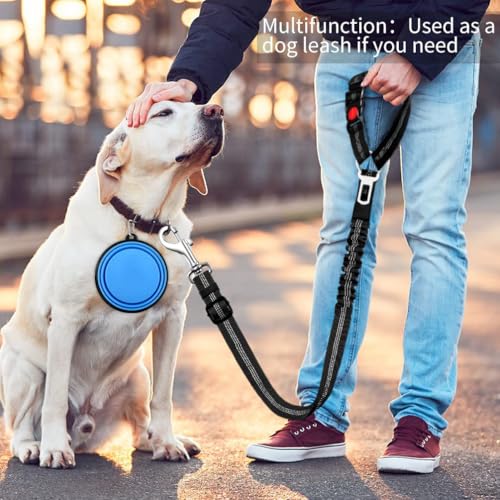 Dog Seat Belt, Adjustable Dog Safety Belt Leash, 2 in 1 Latch Bar Attachment Dog Car Seatbelt with Elastic Nylon Bungee Buffer Reflective Connect to Dog Harness(43in*0.98in) (Blue) - color: Blue