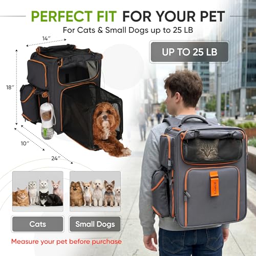 Premium Expandable Cat Carrier Backpack with Car Seat Belt Safety System – Rigid Frame Pet Carrier Backpack for Cats & Small Dogs up to 25 lbs – Breathable, Durable – Includes Bottle & Feeding Bowl - color: gray/orange