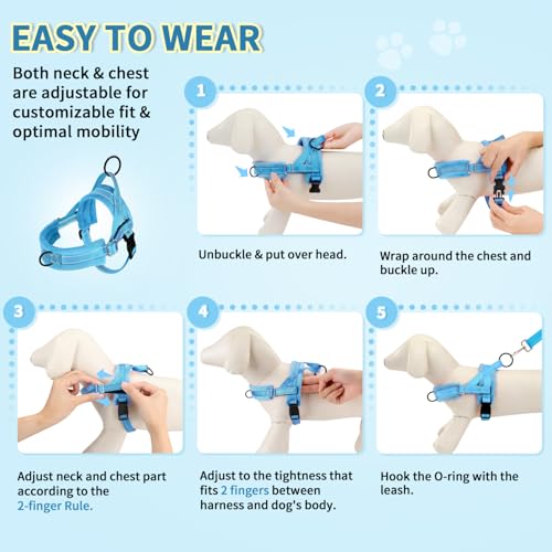 Lukovee No Pull Dog Harness and Leash Set, Soft Padded Small Dog Harness, Neck & Chest Adjustable Reflective Vest Puppy Harness with 4ft Lightweight Anti-Twist Dog Leash for Small Dogs (LBL, XS) - color: Light Blue, size: XS ( Chest 14'' ~ 18'')