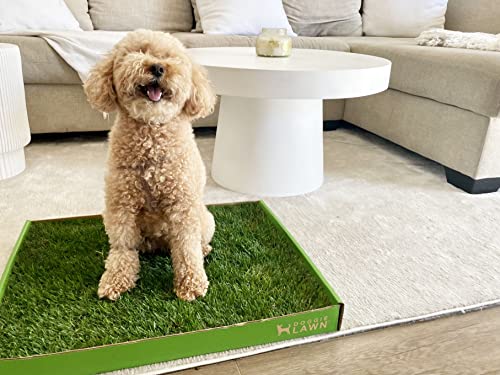 DoggieLawn Real Grass Puppy Pee Pads- 24 x 16 Inches - Perfect Indoor Litter Box for Dogs - No Mess, Easy-to-Use - Potty Training for Pets - Disposable Bathroom with Real Living Grass - size: Standard 24x16 inches