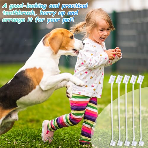 Honeydak Dog Toothbrush Bulk Dual Headed Dental Brushes Dogs Tooth Brushing Kit Long Handle Pet Tooth Brush for Puppy Large Small Cats and Most Pets Teeth Cleaning Dental Supplies(70 Pcs,White) - color: White