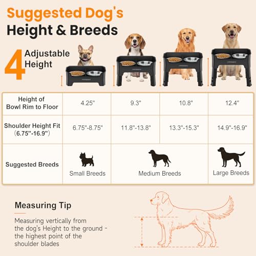 URPOWER Mess Proof Elevated Dog Bowls, High Wall Splash Guard Design, 4 Height Adjustable Raised Bowl Stand, 2 Stainless Steel Bowls, Non-Slip Food Water Set for Small Medium Large Dogs - color: Black, size: Medium