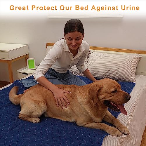 2Pack Dog Pads Washable 53”x65”,Pee Pads Waterproof,Anti Skid for Whelping Training - size: 2Pack 53”x65”