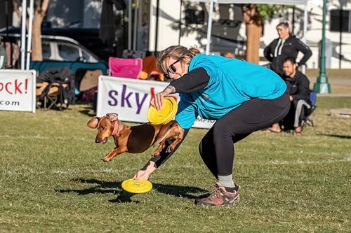 Hyperflite Pup SofFlite Soft Dog Flying Disc, 2 Pack, Small Dogs | Ultra Soft, Competition Approved, 2 Pack | 7-inch, 90g | Small Dogs | Yellow