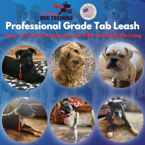 Biothane Training Tab Leash for Dogs, Brass Hardware, No Pull with Easy Grip Handle, Made in The USA, Professional Grade-Brown - color: Brown