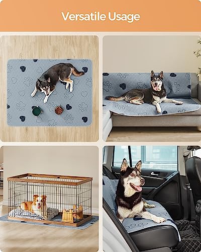 Feandrea Washable Dog Pee Pads, 2 Pack, Reusable Dog Pads, 60 x 48 Inches, XXL, Waterproof Pet Training Pads, Leakproof, Non-Slip, Super Absorbent, Gray UPTD048G01 - size: XXL (60"L x 48"W)