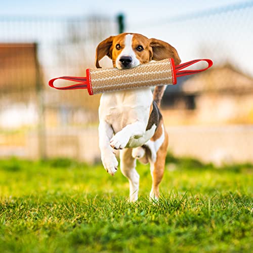 Libima 2 Pcs Dog Bite Pillow Tug Toy with Strong Handles Dog Tug of War Training Tools Jute Bite Toy for Puppy Young Small Medium Pets Interactive Play Training Equipment