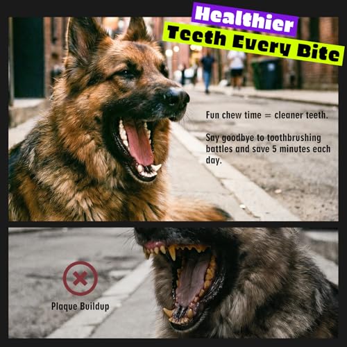 Kseroo 2-Pack Indestructible Dog Toys for Aggressive Chewers: Beef-Flavored Tough Dog Chew Toys, Nylon Large Dog Chew Toys to Keep Them Busy, Dog Chew Bones for 25-70lbs Medium & Large Dogs - color: Purple