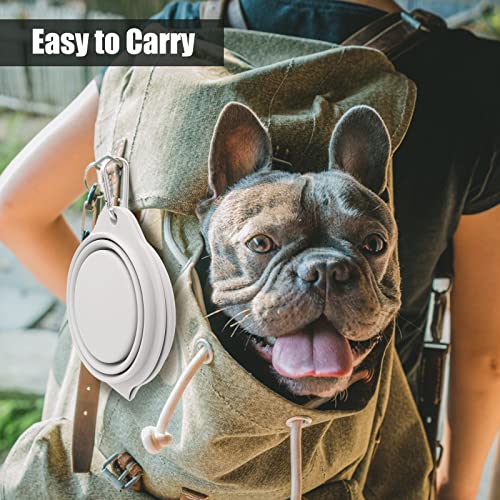 SLSON Collapsible Dog Bowls,Integrated Molding Dog Double Bowl No Plastic Rim 2 in 1 Foldable Pet Food & Water Bowl Cat Feeder Dish for Walking,Hiking,Camping (Cold Grey) - color: Cold Grey