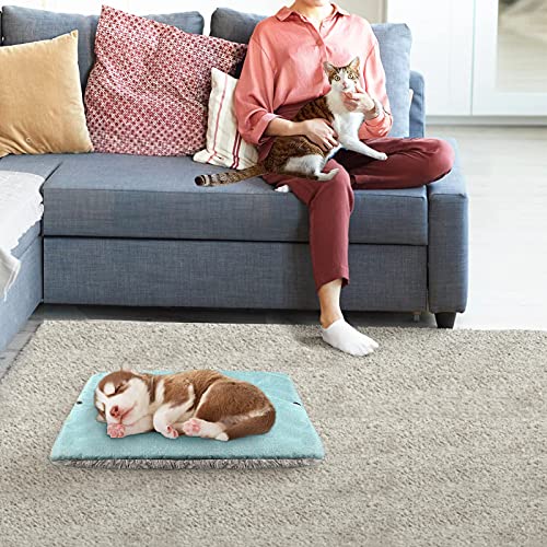 Self Warming Cat Bed, Foldable Self Heated Cat Mat Extra Warm Thermal Heating Pad 24 x 20 inch for Indoor Outdoor Cats, Non-Slip Bottom Washable Non Electric - color: Mint Green