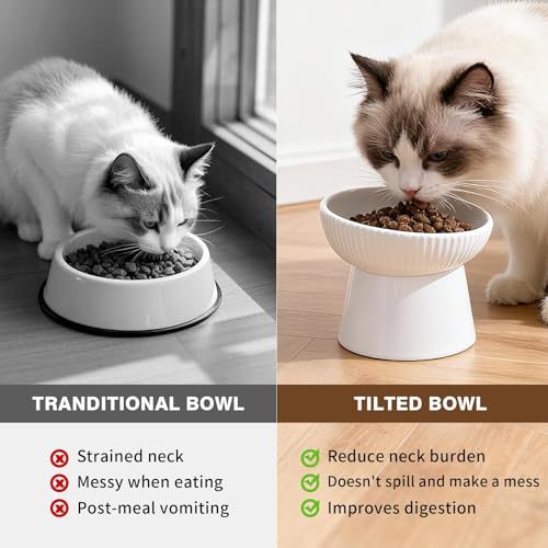 Elevated Cat Food Bowl, Ceramic Raised and Tilted Water Bowl, Whisker Fatigue Cat Bowls for Indoor Cats, Anti Vomiting and Protect Spines Pet Feeding Dishes for Kittens Small Dog, Heavy Non-Slip Base - color: White