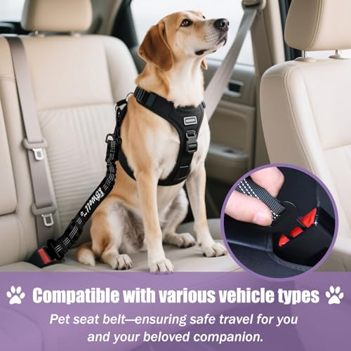 IBWell Dog Seat Belt,3 Piece Set Retractable Dog Car Harness Adjustable Dog Seat Belt for Vehicle Nylon Pet Safety Seat Belts Heavy Duty & Elastic (Black & Purple) - color: Black & Purple