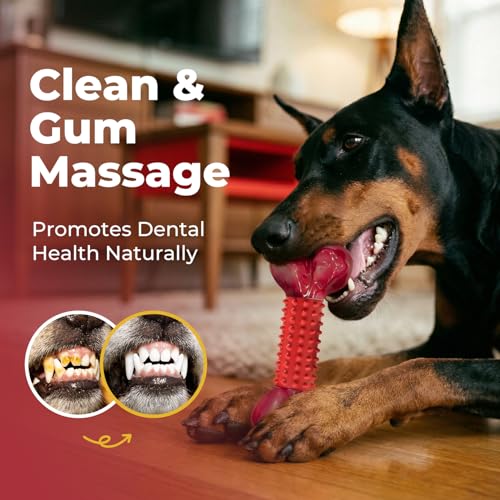 3-Pack Tough Dog Toys for Aggressive Chewers: Beef Flavored Long Lasting Dog Bones for Large Dogs, Heavy Duty Nylon & Rubber Dog Chew Toys to Keep Them Busy, Medium & Large Breed, Red - color: 3 PC-Beef-Red