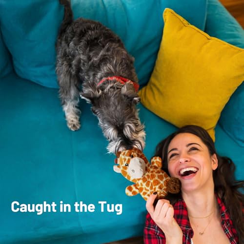 Soft Plush Giraffe Dog Toy for Small & Medium Dogs and Puppies – Dual Squeaker, Crinkle Comfort Toy for Gentle Chewers - style: Giraffe