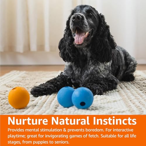 Amazon Basics Interactive Bouncy Supreme Durable Natural Rubber Dog Toy Balls, Easy to Clean, 2.5 inch, Blue, Orange, Pack of 3 - size: 2.5 inch, style: Supreme Balls (Pack of 3)