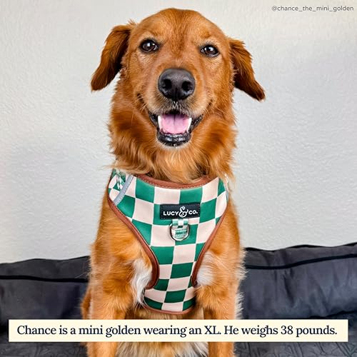 Lucy & Co. Cute No-Pull You're a Square Harness - Stop Pulling & Walk Easy - Harness Available in XS-XL for Small, Medium, and Large Dogs (X-Large, White & Green Checks) - color: The You're a Square No-Pull Harness, size: X-Large