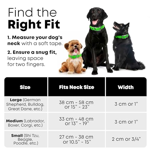 Regal Dog Products Small Light Green Dog Collar with Heavy Duty Double Buckle & D Ring Vinyl Coated, Custom Fit, Adjustable Biothane Dog Collar | Chew Resistant Waterproof Center-Ring Collar for Dogs - color: Green, size: Small