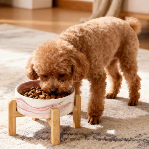 Elevated/Raised Ceramic Dog Bowl with Bamboo Stand,Marble Pattern 6 Inch 3.6 Cups Non Slip Heavy Weighted Single Pet Dish, for Small Medium Breed & Cats,Reduces Neck Strain Marble Pink - color: Marble Pink, size: 3.6 Cups - Medium