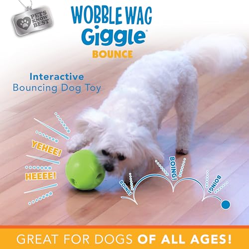 Wobble Wag Giggle Bounce Interactive Dog Toy- Sound Making Bouncing Ball for Dogs Ages Indoor & Outdoor Play, Soft & Durable with Easy Grip Design- Pets Know Best - style: Bounce