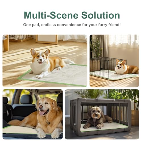 Dog Pee Pads 50Counts, 24"X36" Disposable Pee Pads for Dogs with 4 Sticky Corners, Leak-Proof 6Layers Thicken Puppy Pee Pads Extra Large, Non-Slip Puppy Training Pads for Crate/Cage/Carrier - size: 24" x 36" (50 Ct)