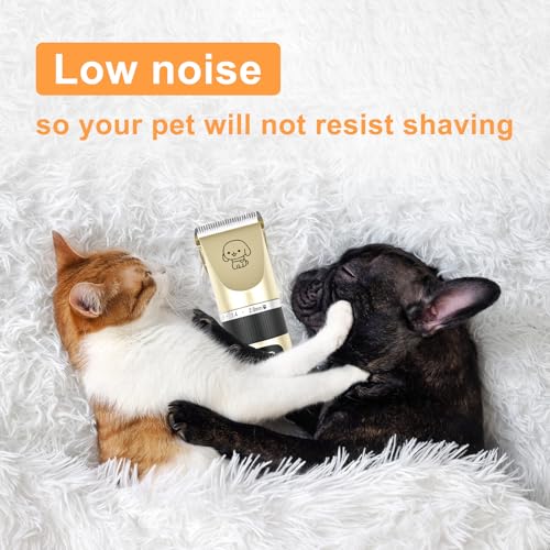 FrutPunch Dog Grooming Kit, Cordless Dog Clippers, Electric Shaving, Low Noise Rechargeable Dogs Hair Trimmer, with a Shaving Head for Feet, Suitable for Cats and Dogs, 2000MA