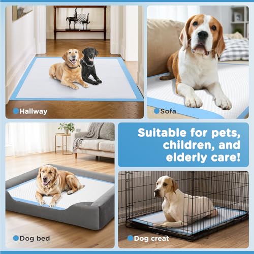 iweepet Enormous 37"x 54" Dog Training Potty Pads, Super Absorbent & Leak-Proof 6 Layers Puppy Pads 30 Counts, Disposable Dog Pee Pads Extra Large for Puppy, Surgery, Older, Cats, Rabbits - size: 37"x54" Blue