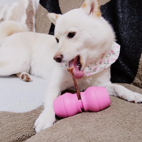 PetClan Chewise Bully Stick Holder, Improved Bully Sticks Holder, Ultimate Secure Heavy Duty, BPA-Free Safety Device to Prevent Choking, Fits Various Bully Sticks and Dog Sizes - color: Pink, size: Standard