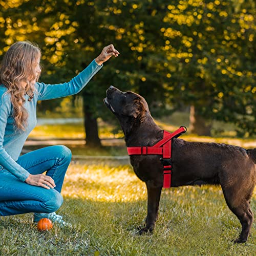 Red No Pull Dog Harness for Small Medium Large Sized Dog, Reflective Escape Proof Adjustable Dog Harnesses with 2 Patch, M - color: Red, size: M-Chest size 22-27.5''