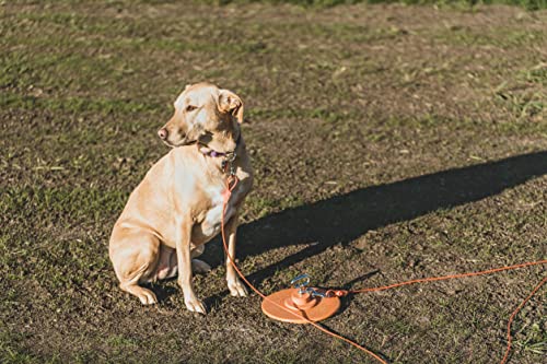 IntelliLeash Intelli-Stayk: Tailored for Soft Soils – Specialized Tie Out Stake for Dogs