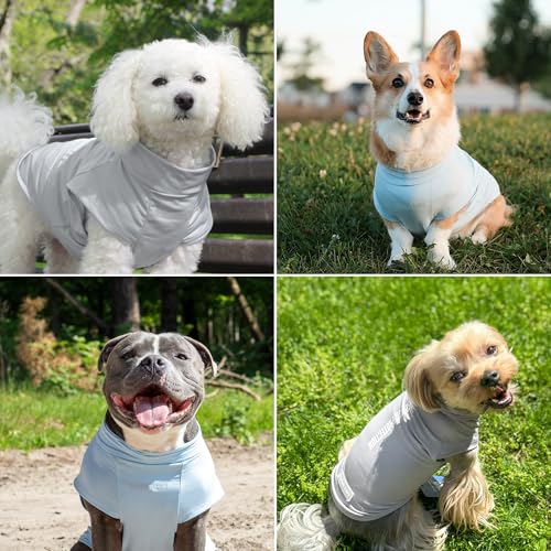 Spark Paws Sunblock Dog T-Shirt, SPF30 Protection, Lightweight Breathable Quick Dry for Dogs with Sensitive Skin - Blue & Grey (Set of 2) - M - color: Blue & Grey, size: M: 10-15lbs