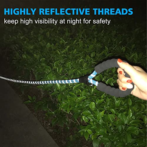Ladoogo Reflective Dog Collar Padded with Soft Neoprene Breathable Adjustable Nylon Dog Collars for Small Medium Large Dogs (X-Small (Pack of 1), Vivid Blue Plaid Collar+Leash) - color: Vivid Blue Plaid Collar+Leash, size: X-Small (Pack of 1)