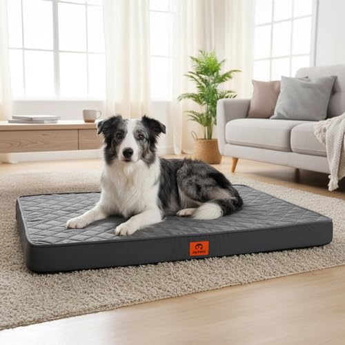 Orthopedic Egg Crate Foam Large Dog Bed | 35x22 inch, holds up to 50 lbs, waterproof, machine washable, non-slip bottom, crate indoor use, dark grey - size: 35"L x 22"W x 3"Th