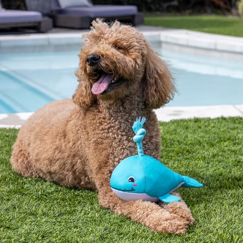 Fringe Studio Splashy Floating Dog Toys, Pet Shop Collection (640006) - color: Splashy