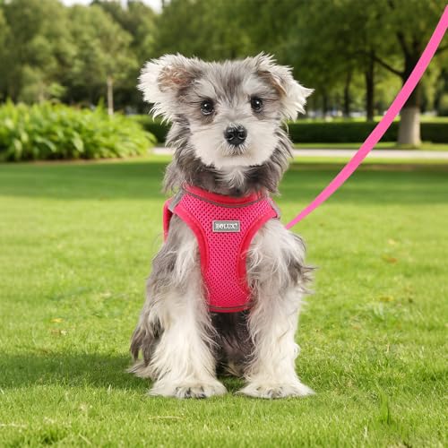 Dog Harness Small Sized and Leash Set, Step in Soft Light Puppy Vest, Breathable Mesh Pet Harness, Reflective for Safe Easy Walking. - color: Pink, size: Medium (Pack of 1)