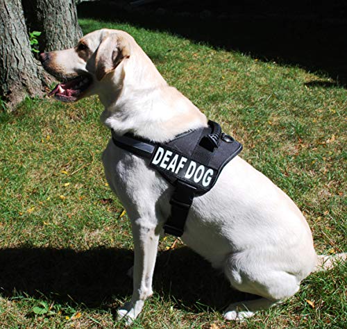 Doggie Stylz Set of 2 Reflective Deaf Dog Removable Patches with Hook Backing for Working Dog Harnesses & Vests. Durable and Interchangeable - Comes in 3 Sizes Small, Medium and Large - size: Small 3"x1"