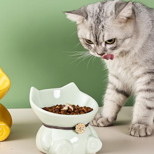 Disoza Ceramic 5.8 Inch White Cute Elevated Food Bowls Raised Cat Bowls for Indoor Cats 15° Tilted Whisker Friendly Water Bowl Dishwasher Safe Puppy Feeding Set Supplies Dog Accessories - color: #B White Elevated Cute Cat Food Bowl