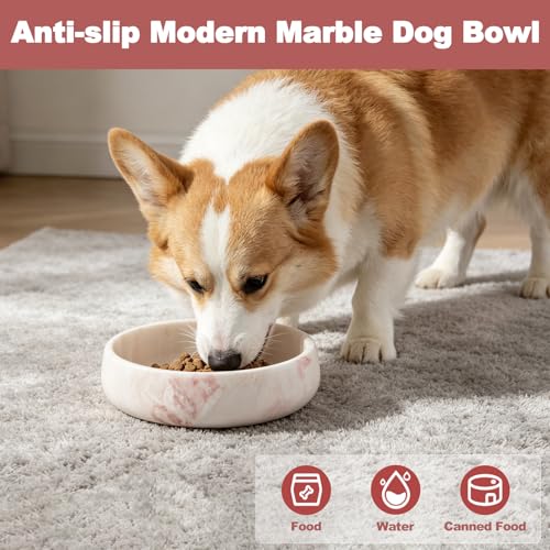 Karibiber Marble Dog Bowl, 6lbs Weighted Dog Food Bowl, Non-Slip Large Heavy Water Bowls, Cute Pink Stone Food and Water Dish for Large Dogs, Natural Marble, Easy to Clean, Holds 6 Cups - color: Pink, size: L