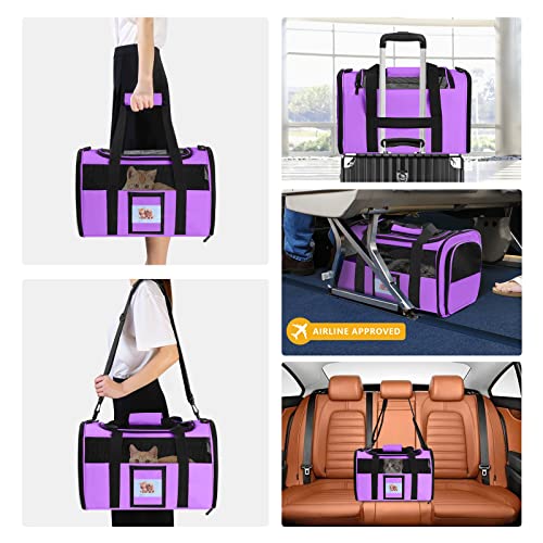 Cat Carrier Pet Carriers Airline Approved for Small Dogs Kitten Carrier for Small Medium Animals Under 15lb, Collapsible Soft Sided Travel Carrier, Purple - color: Purple